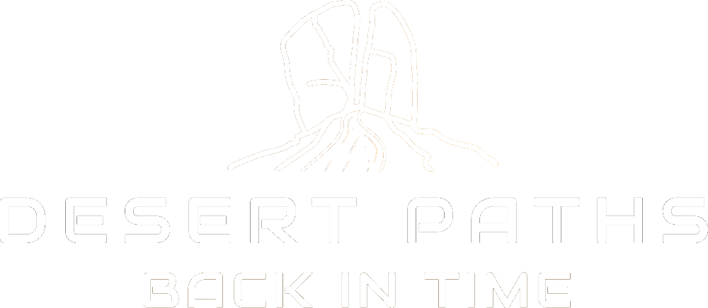 DesertPaths